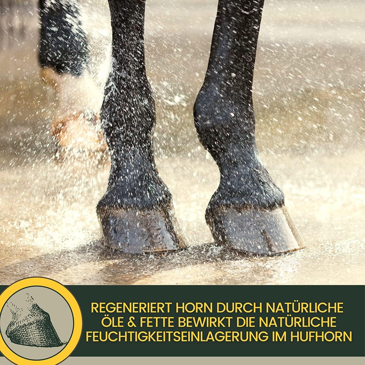 81v8bvccNhL. AC SL1500 .jpg