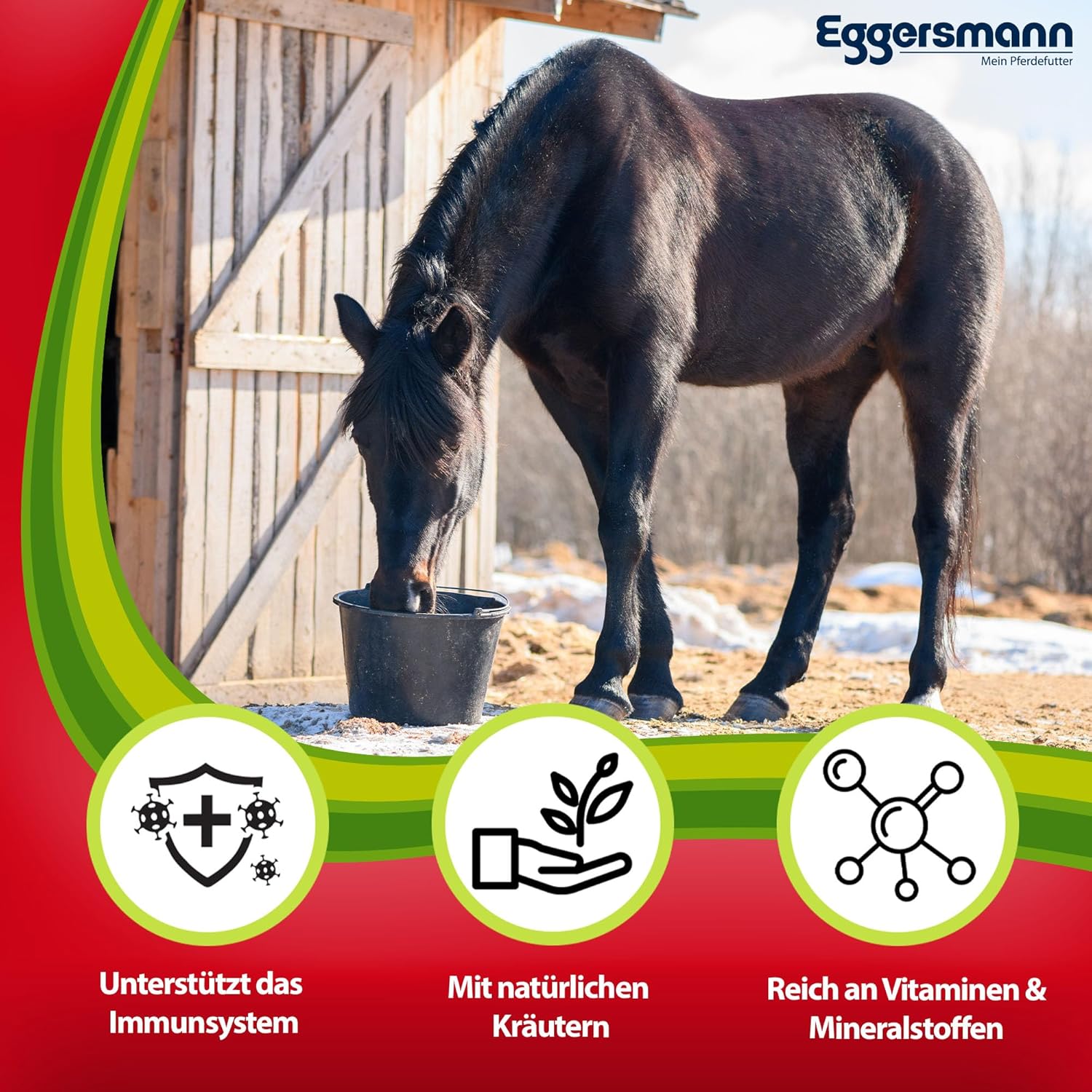 81y0uKg8anL. AC SL1500 .jpg