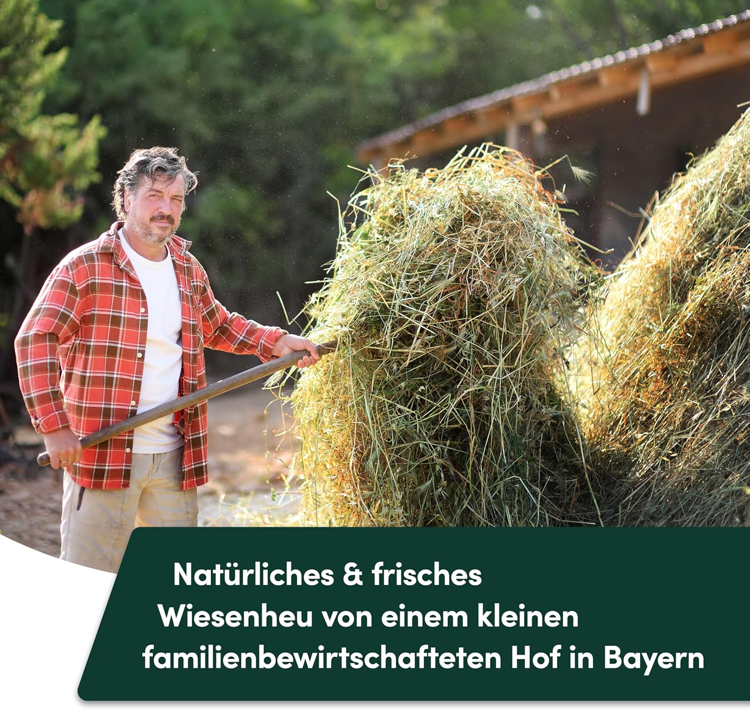 912BZxonpbL. AC SL1500 .jpg