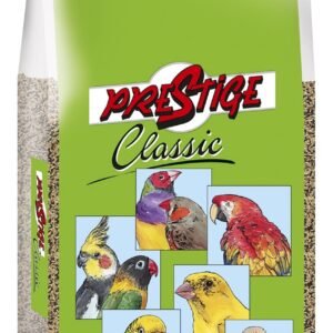 91IwrnCDN0L. SL1500 .jpg