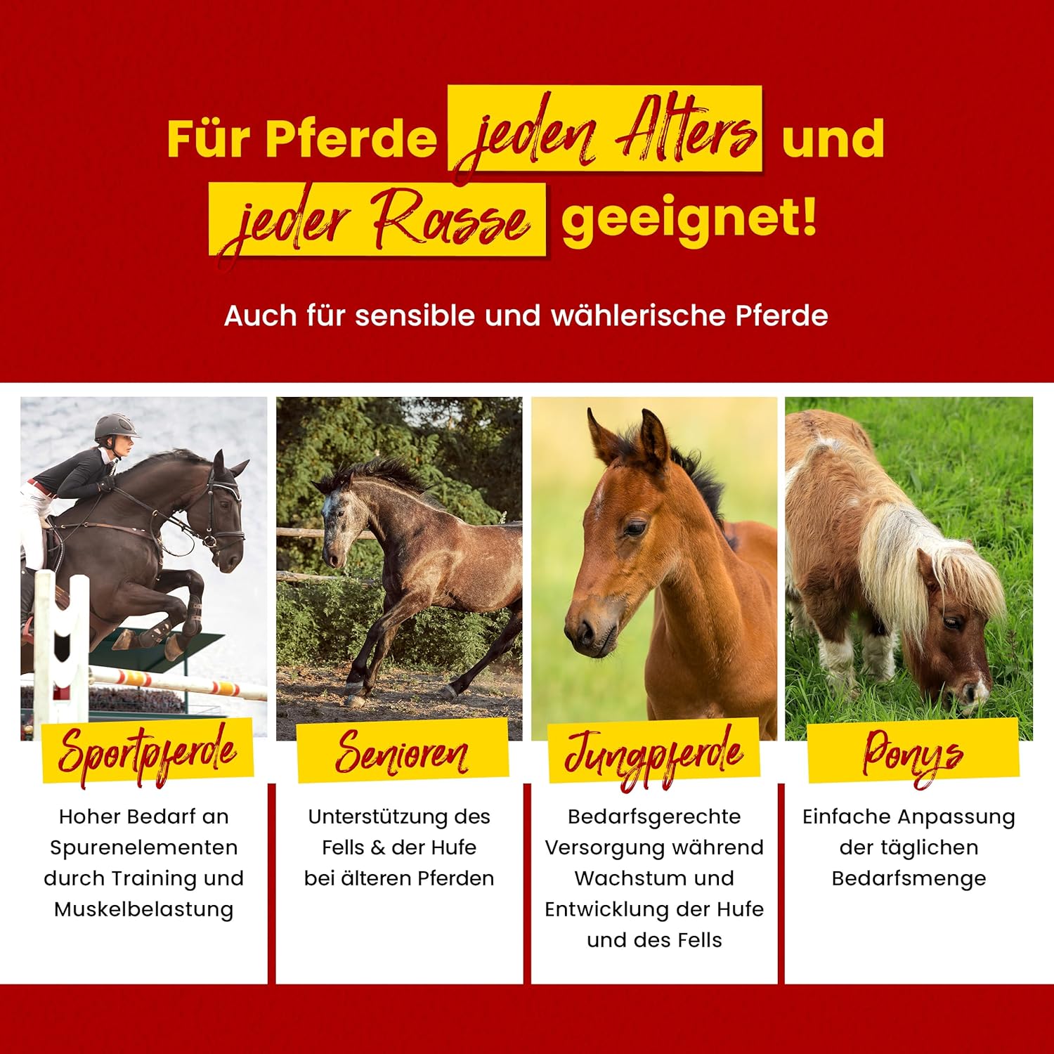 91JFttbprL. AC SL1500 .jpg