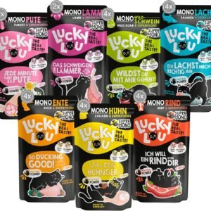 91O6gBvjcL. AC SL1500 .jpg