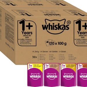 91Rt9R2zR0L. AC SL1500 .jpg