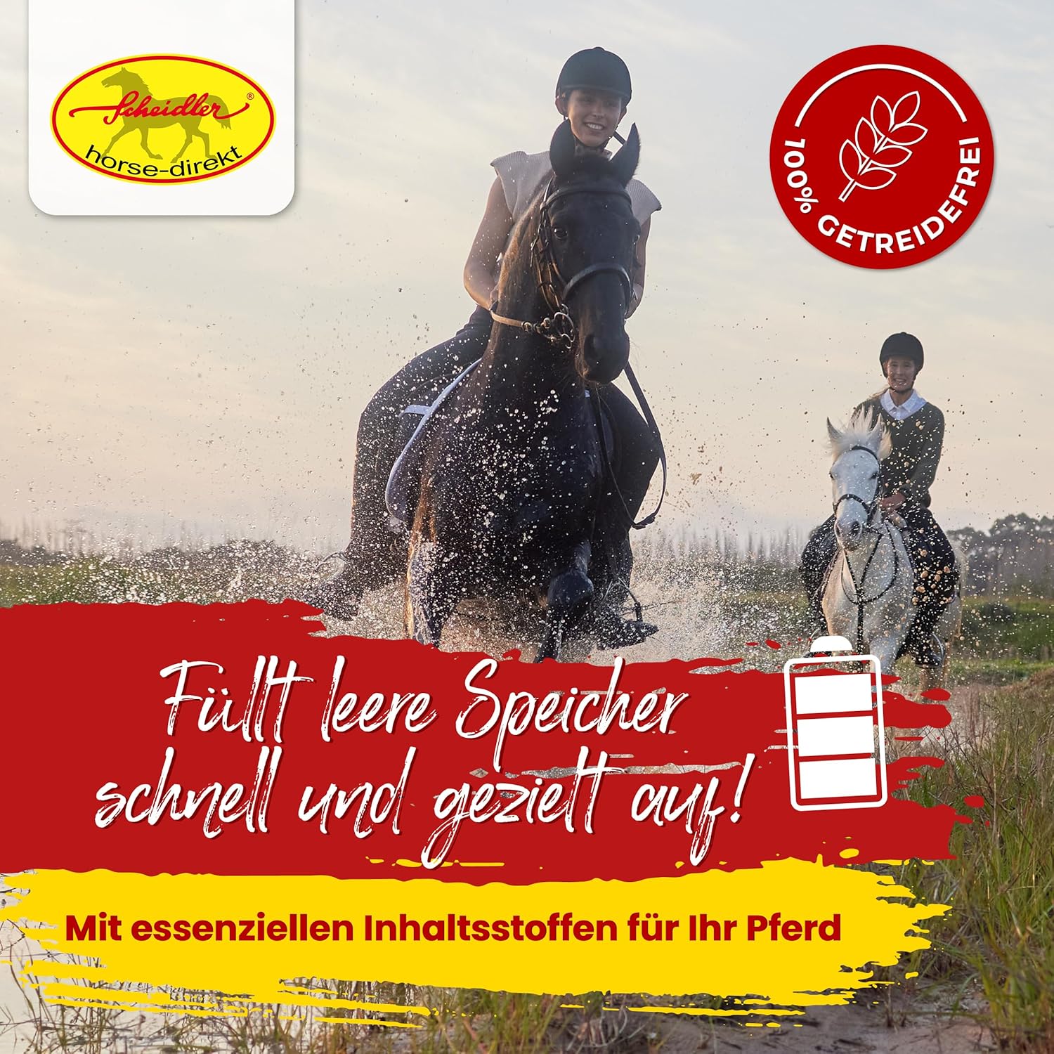 91UIddwKGL. AC SL1500 .jpg