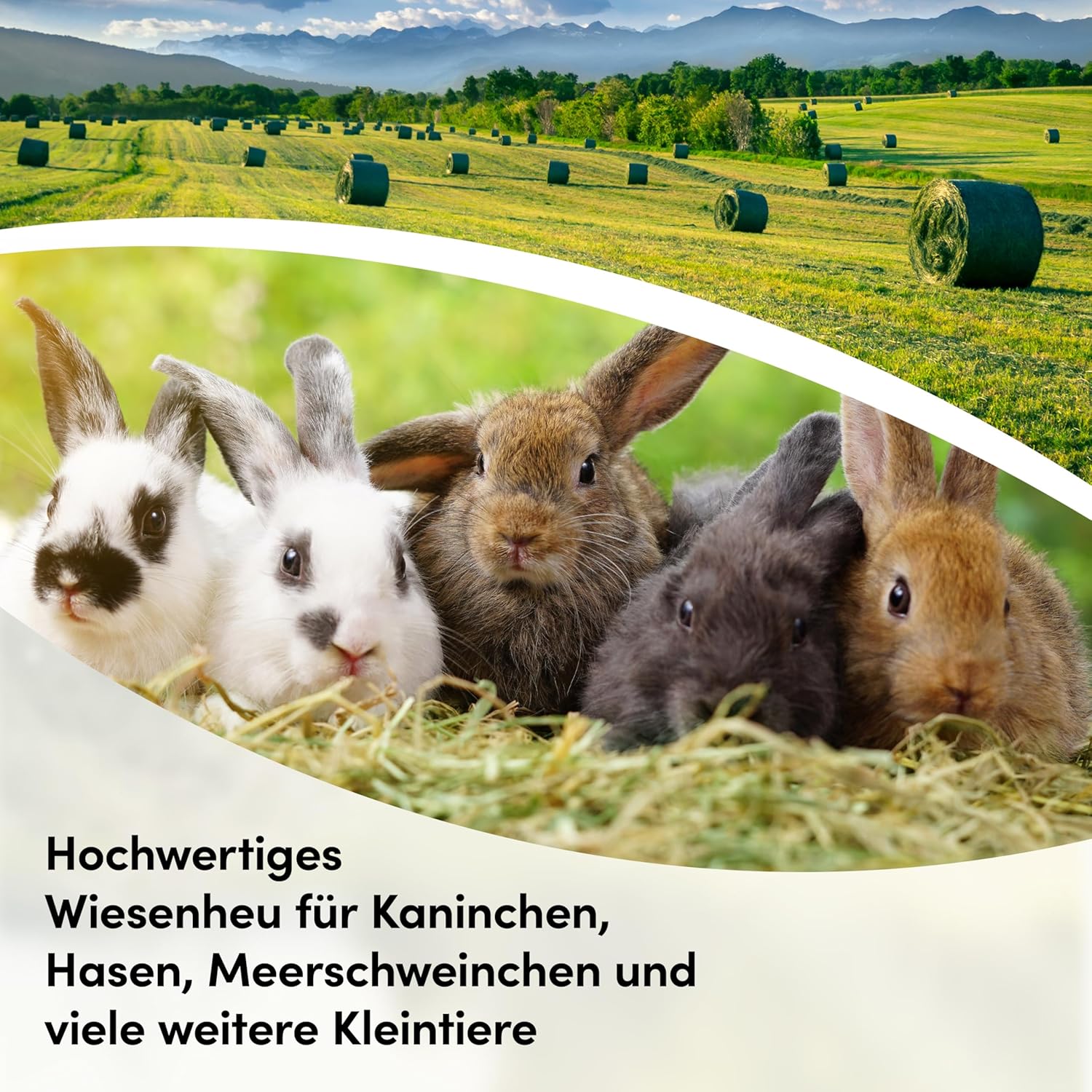 91XUSDvNafL. AC SL1500 .jpg