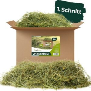 91ciGGad9pL. AC SL1500 .jpg