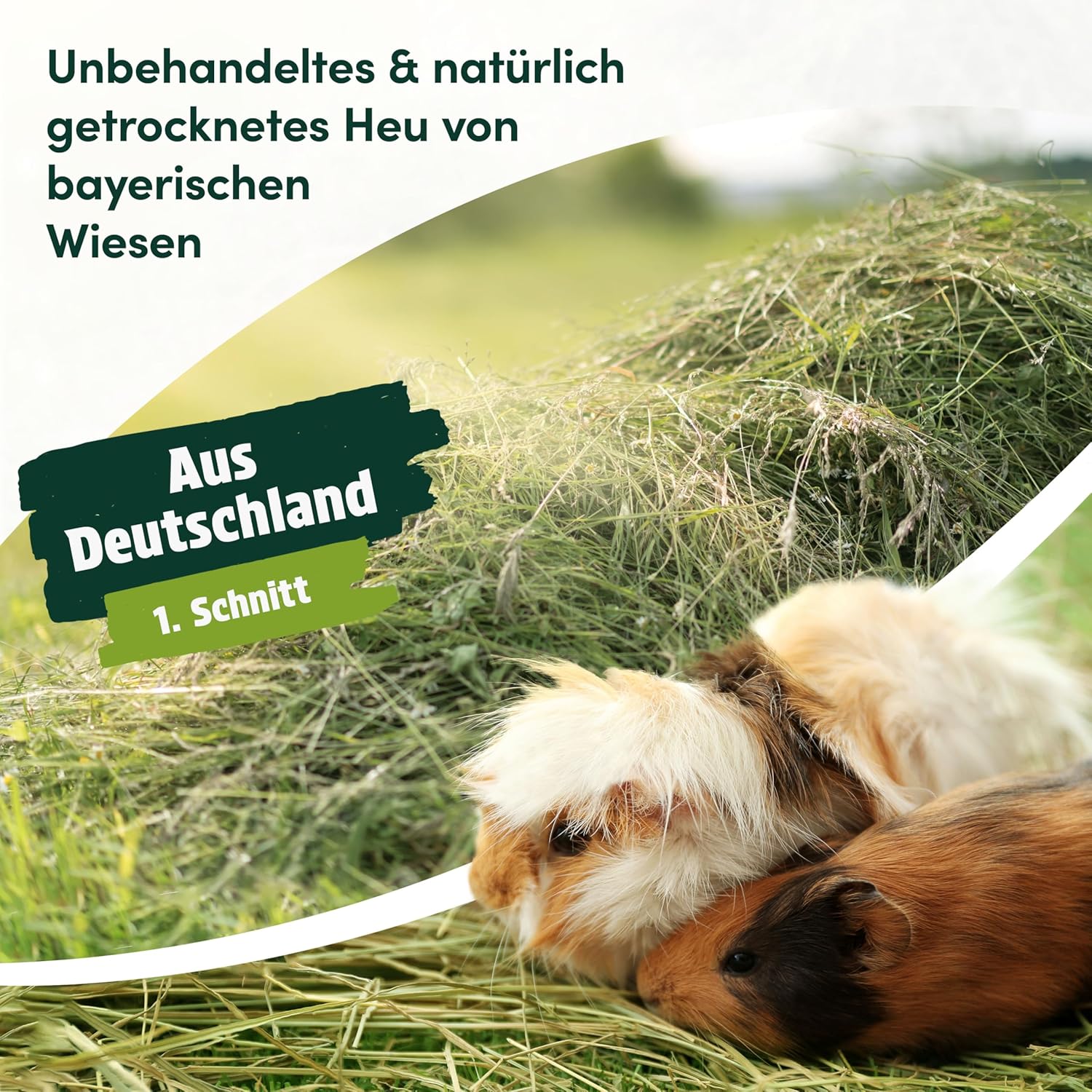 91olyMtkcGL. AC SL1500 .jpg