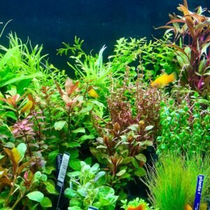 A1vWPy67xdL. AC SL1500 .jpg