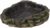 Trixie Reptile Rainforest Dekoration Wasser- und Futternapf, 13 x 3,5 x 11 cm