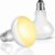 Caldarax 100W Terrarienlampe Reptilien Wärmelampe Basking Spot 2 Stück E27 Heizlampe Terrarium Sonnenlampe UVA Reptilien Tageslichtlampe für Schildkröten, Eidechsen, Bartagamen
