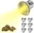 Reptilien-Terrarium-Wärmelampe 25 W, 6 Stück Schildkröten-Wärmelampen, UVA-UVB-Halogen-Schildkröten-Wärmelampen, Wärmelampen-Terrarium, E27-Halogen für Schildkröten, Bartagamen, Eidechsen, Schlangen