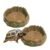 2 Stück Schildkrötenzubehör Wassernapf Terrarium Reptilien Wassernapf Futternapf Terrarium Trinknapf Wassernapf Schüsselzubehör für Schlangenschildkröte Gecko