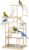 PawHut Papageienspielplatz, 48 x 38 x 95 cm, Vogelspielplatz für Papageien, Papageienspielständer mit Spielzeug, Edelstahltablett, Papageienspielplatz für Nymphensittiche, Sittiche, Turteltauben