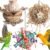 3 Stück Vogelspielzeug, Vogelpapageienspielzeug, Papageienspielzeug, Wellensittichspielzeug, Vogelspielzeug, Vogelzerkleinerungsspielzeug, für Sittiche, Nymphensittiche, Turteltauben