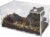 Schneckenterrarium, Reptilienwachstum Mini-Terrarium, Insektenterrarien-Set, Transportbox für Spinnen, Gecko, Hamster, Schlangen, Schildkröten, tragbar (20 x 12 x 12 cm)