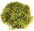 CONNECTION Torfmoos für Pflanzen, 200 g, natürliches Moos, Torfmoos, natürliches Torfmoos für Reptilien, Moos zum Basteln für Terrarium, Reptilienkäfige, Rasen, Garten, Zimmerpflanzen, Dekoration