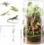 Zylindrisches Terrarium, Vivarium, Acryl-Terrarium Schnecken – 360°-Panorama Reptilien Faunabox, für Springspinnen, Gottesanbeterinnen, Geckos, Schnecken, Laubfrösche, Käfer