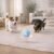 Pet Prime Intelligentes interaktives Hundespielzeug, automatisch beweglicher Hundeball mit bunten Lichtern, rotierender Hundeball aus E-TPU-Material, USB-C wiederaufladbar (blau)