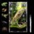 Faunarium, Insektenterrarium, Acrylterrarium, Allzweckbehälter für Reptilien, Amphibien, Sprünge, Vogelspinnen, Schnecken, Frösche und Insekten, 20 x 20 x 35 cm